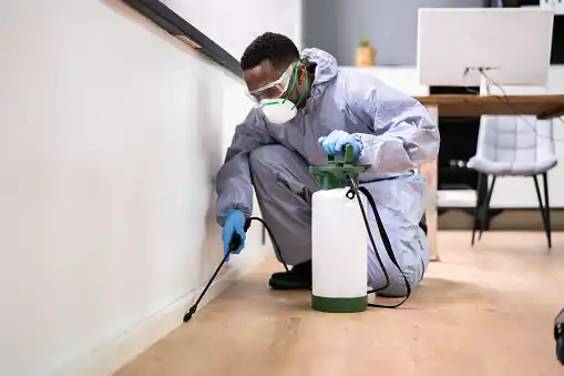 pest control Touro